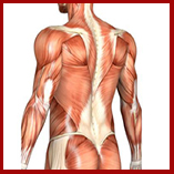 neck fascia release